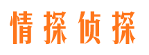 上甘岭市调查公司